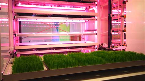 Next-Generation Vertical Farming - Solar Impulse Efficient Solution