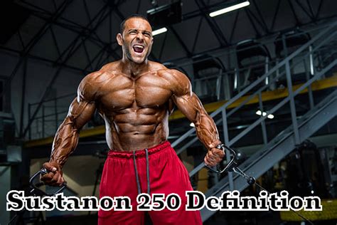 Sustanon 250 Review: Injection Cycle and Results for Bodybuilding ...