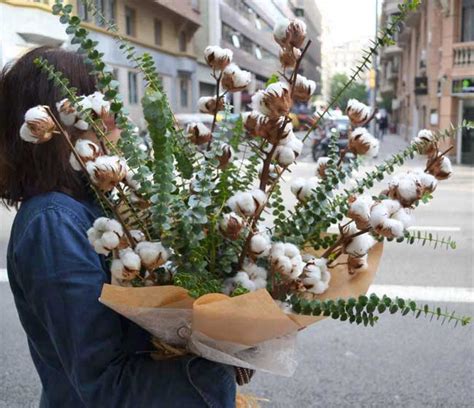 COTTON BOUQUET