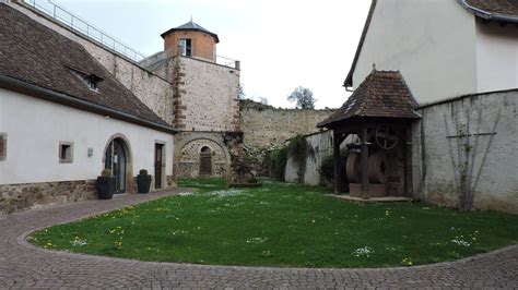 Hiking the Great Loop – Bacchus trails - Alsace Wine Route