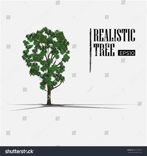 Realistic Tree Vector Illustration Stock Vector (Royalty Free) 207378181 | Shutterstock