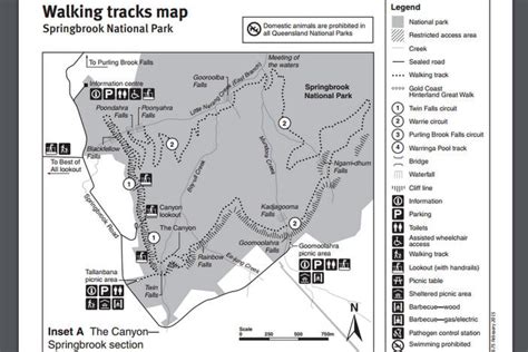 Twin Falls Circuit | Springbrook National Park | Brisbane Kids