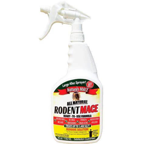 10 Best-Reviewed Mouse Repellents | The Family Handyman