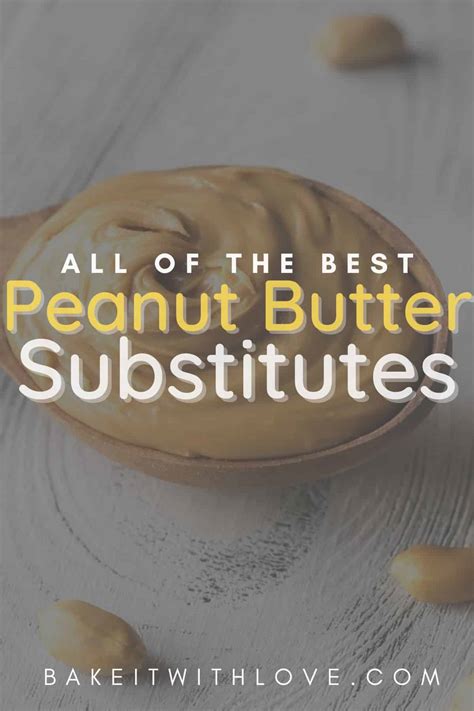 Best Peanut Butter Substitute: 15+ Easy Peanut Butter Alternatives