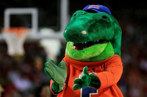 University of Florida "Gator" | Florida gators, Florida gators football ...