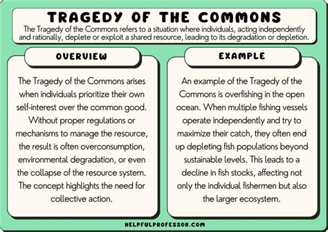 26 Tragedy of the Commons Examples (2024)