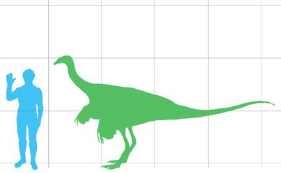 Ornithomimus - Everything Dinosaurs