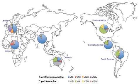 JoF | Free Full-Text | Pulmonary Cryptococcosis