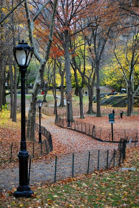 Central Park, New York City, New York, USA | Autumn scenery, Park falls ...