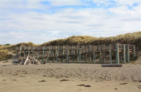 Bodega Dunes in Bodega Bay, CA - California Beaches