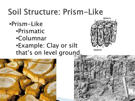 Prism Like Soil Structure