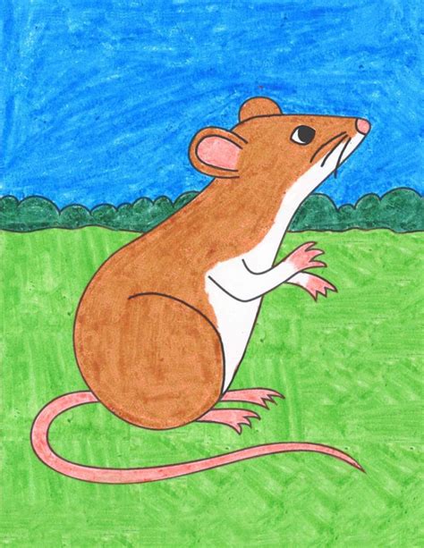 Easy How To Draw A Rat Tutorial And Rat Coloring Page