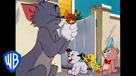 Tom & Jerry | Family Love | Classic Cartoon Compilation | WB Kids - YouTube