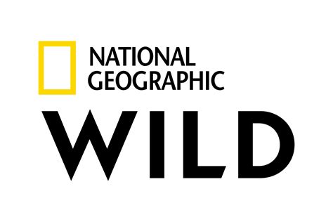 Logo National Geographic Png Transparent Logo National Geographicpng Images