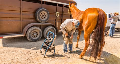 The Art of Being a Farrier - Cowboy Lifestyle Network