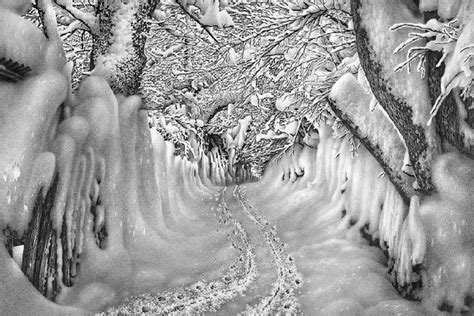 Incredible Pencil Sketches of Winter Scenes (16 pieces)