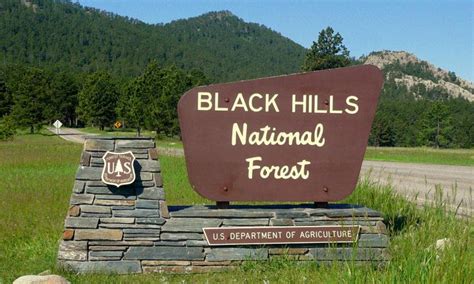 Black Hills National Forest, South Dakota - AllTrips