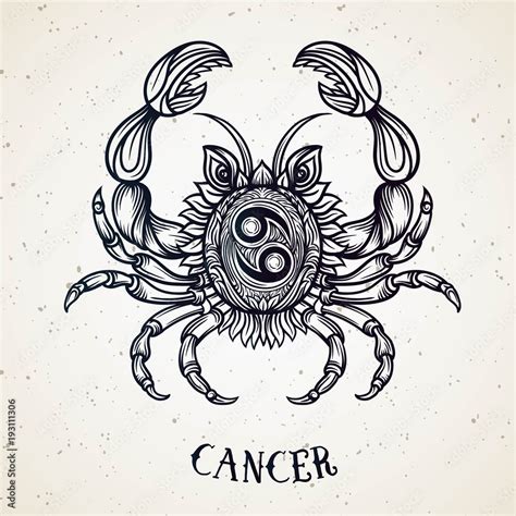 Cancer Zodiac Sign Drawings: Discover the Artistic Interpretations of ...