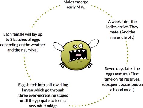 Midge Season - Smidge