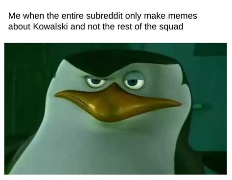 Kowalski, analysis! : r/dankmemes