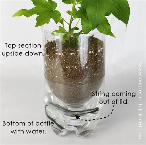 15 DIY Self-Watering Planters That You Can Craft Today