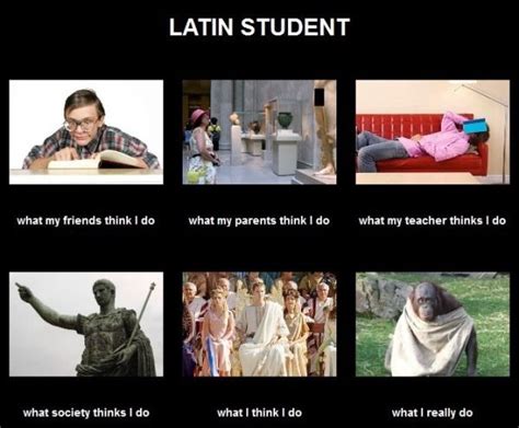 Latin Student Problems : Photo | Student memes, Student problems, Language jokes