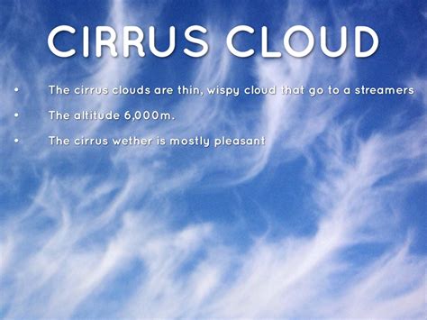 Facts On Clouds by Danielle Haner