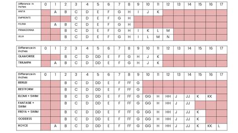 Bra Cup Size Chart Inches