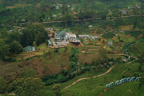 Nuwara Eliya Tea Factory - Great Experience at Damro Tea