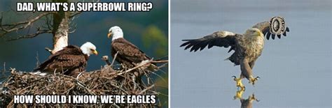 Let me fix that Eagles Super Bowl meme for you | PhillyVoice