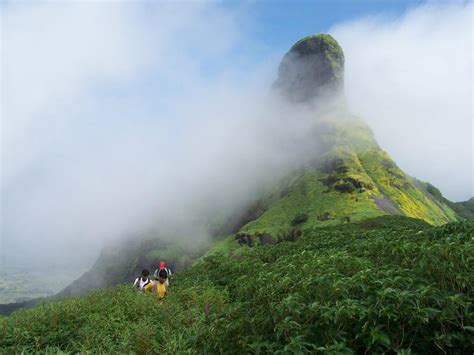 The Konkan, the Konkan Coast or Karavali, the Konkanis, the Tuluvas ...