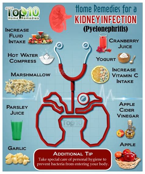 Home Remedies for a Kidney Infection (Pyelonephritis) | Top 10 Home Remedies