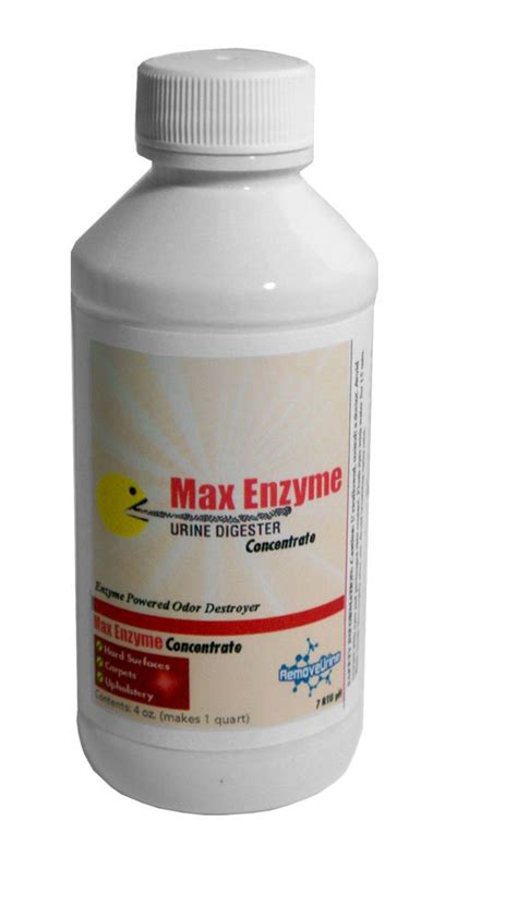 Best Enzyme Cleaner For Cat Urine of 2020 - Reviews & Buying Guide