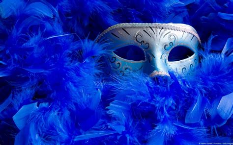 mask, Venetian masks, Feathers HD Wallpapers / Desktop and Mobile ...