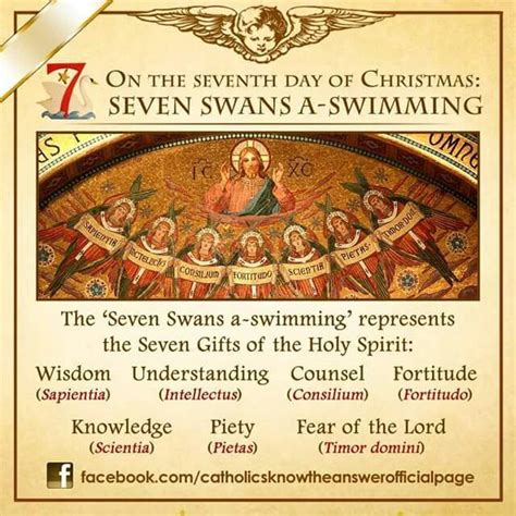 On the seventh day of Christmas | Catholic prayers, Catholic, Catholic answers