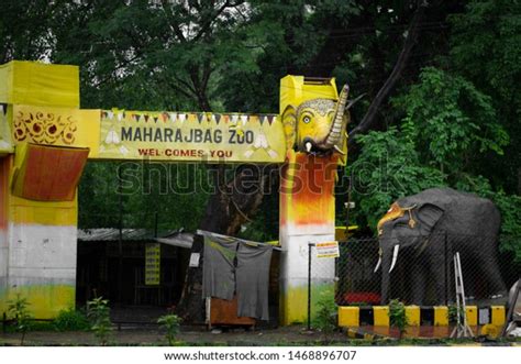 Zoo Nagpur: Over 13 Royalty-Free Licensable Stock Photos | Shutterstock