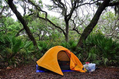 Cumberland Island: 10 Don't-Miss Activities for This Undeveloped ...