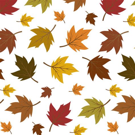 Colourful Autumn Leaves Pattern Isolated On White Background, Autumn ...