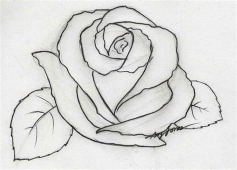 Pencil Sketch Of Rose Flower at PaintingValley.com | Explore collection of Pencil Sketch Of Rose ...