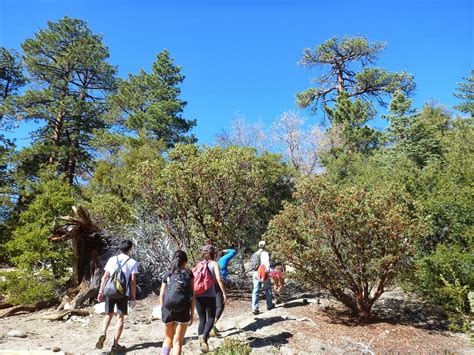 Happy Trails: Hiking at Idyllwild