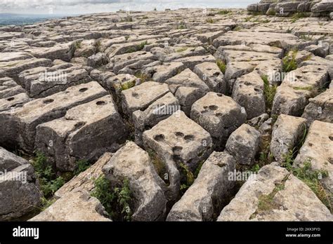 Malham Cove, a fault on the middle Craven Fault,the gaps clints provide ...