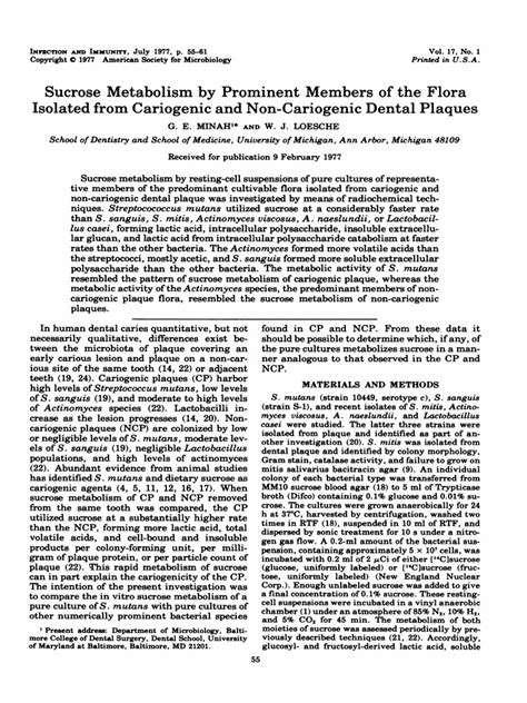 Sucrose Metabolism - Cariogenic & Non Cariogenic Plaque | PDF | Sucrose ...