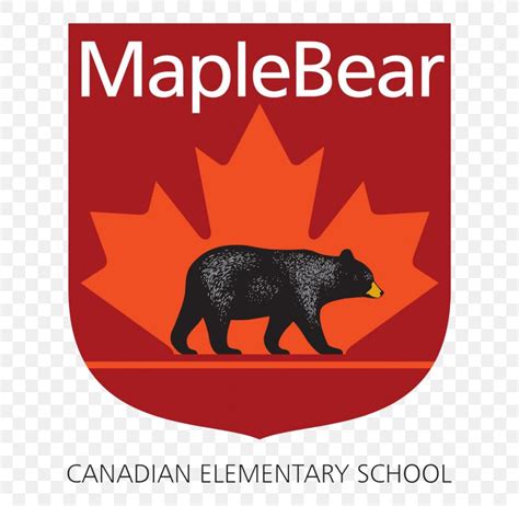 Maple Bear Canadian School Education Pre-school Kindergarten, PNG, 668x800px, School, Area ...