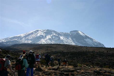 Moshi: Guided Kilimanjaro Day Tour | GetYourGuide