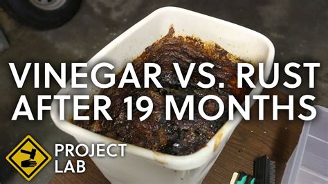 Vinegar rust removal, 19 months later (vlog) - YouTube