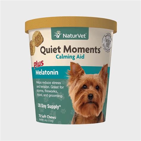 10 Calming Treats for Dogs, Recommended by Our Pet Expert