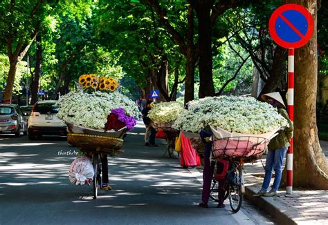 Tin bạn đọc: Những bức ảnh đẹp mùa thu Hà Nội