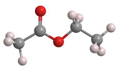 Ethyl Acetate Lewis Structure