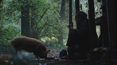 Neon Wins Domestic Rights to Nicolas Cage Movie 'Pig' - Variety