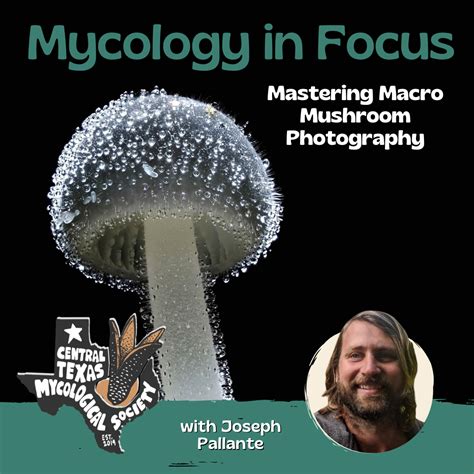 ONLINE: Mycology in Focus, Macro Mushroom Photography — Central Texas ...